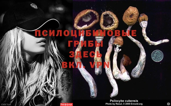 не бодяженный Алзамай