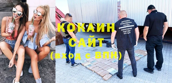 дмт Алексин