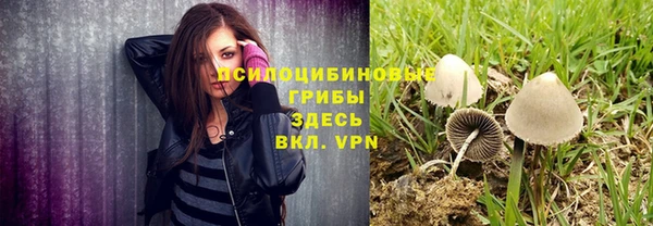 дмт Алексин