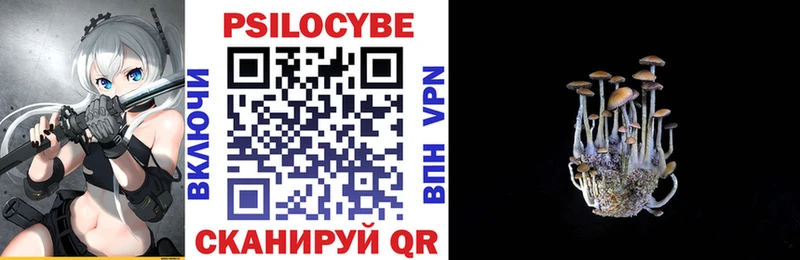 hydra как зайти  Щигры  Галлюциногенные грибы Psilocybine cubensis 